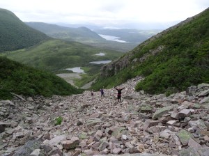 Brant stenlagd gångväg på Gros Morne