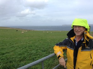 Ett får i förgrunden och fler i bakgrunden. Längst bort Pentland Firth mot öster med Orkneyöarna till vänster och Dunnet Head till höger.